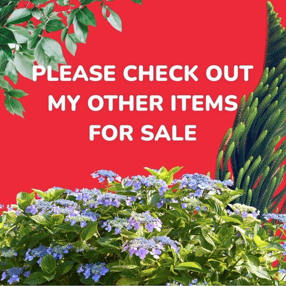 PRADA WEDGE CANVAS SHOES BEIGE OPEN TOE 36-6 - Picture 8 of 9